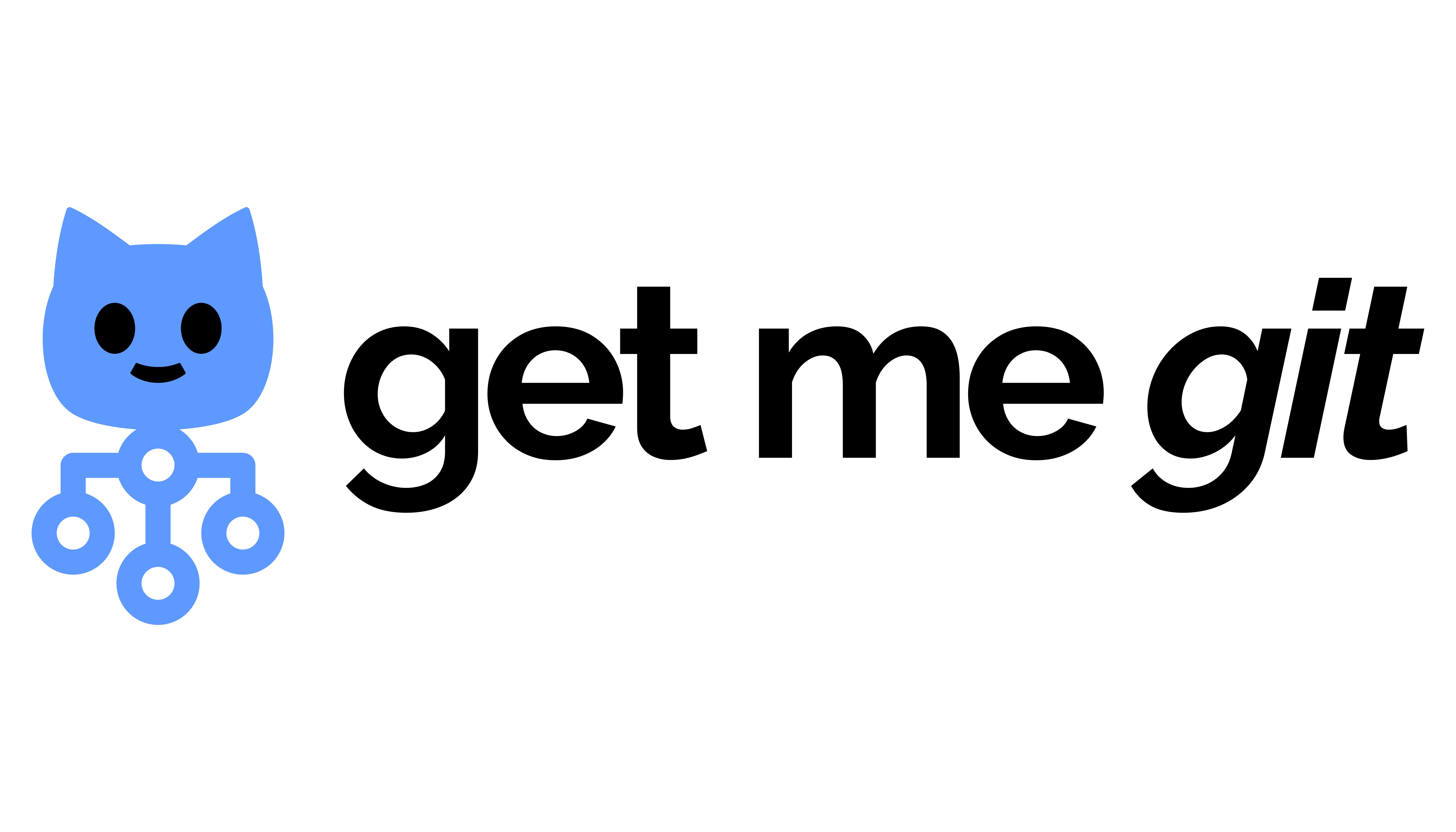 Partner 11
